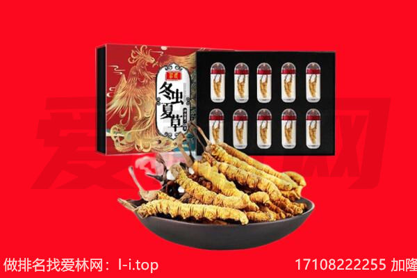 台州回收虫草.jpg